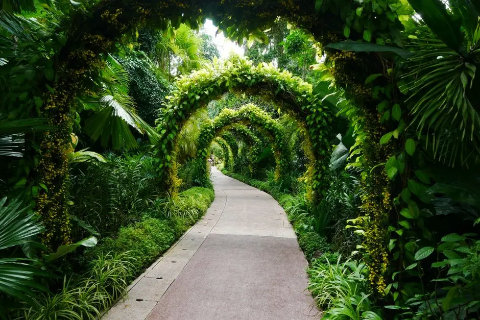 Garden at EMBASSY CENTRUM, New Gurgaon, Gurgaon
