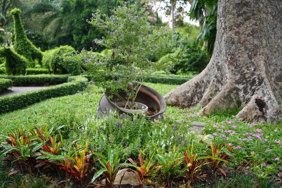 Garden at EMBASSY CODENAME YELAHANKA (EMBASSY BIOME), Tarahunise, Bangalore