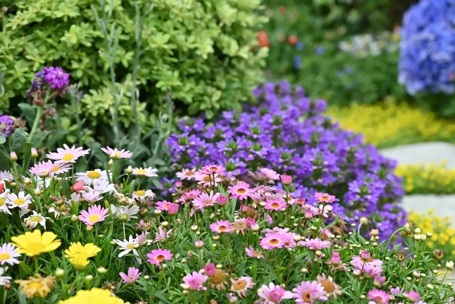 Garden at EMBASSY SIERRA, Madhurawada, Visakhapatnam
