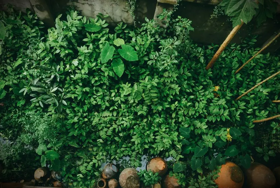 Greens & Outdoors at EMBASSY TECHVILLAGE HILTON HOTELS & RESORTS, Marathahalli, Bangalore