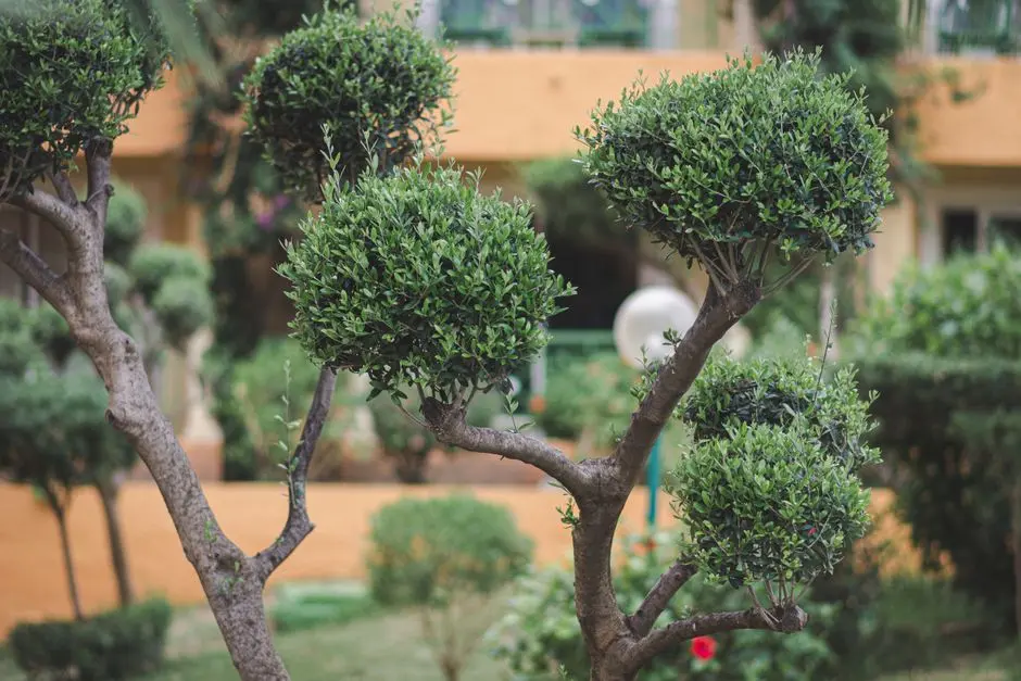 Greens & Outdoors at EMBASSY GODREJ FLORENNE PHASE II, Whitefield, Bangalore
